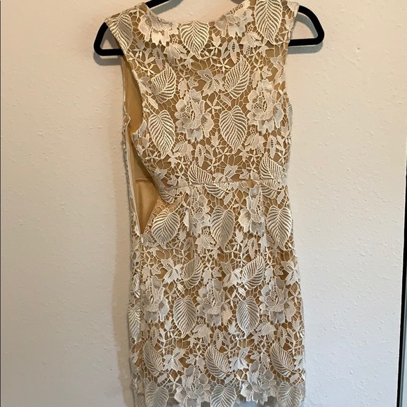 Lace Dress - Great for Bachelorette events! - Picture 3 of 3